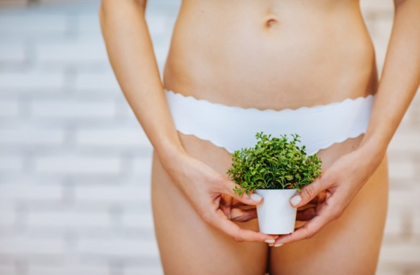 Brazilian Wax (1 hr of Service)